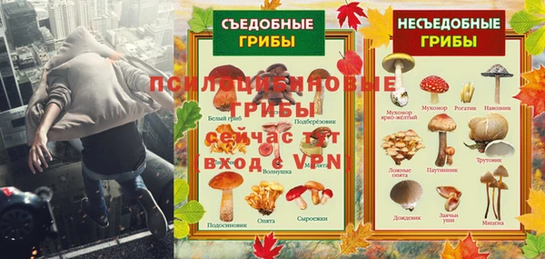 мяу мяу мука Козельск